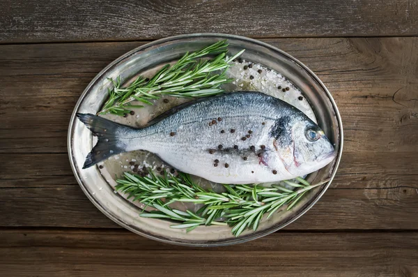 Свежая морская рыба (дорадо) на металлическом блюде с розмарином и специями — стоковое фото
