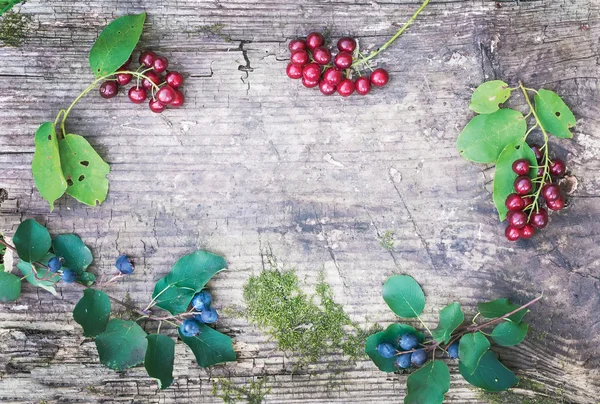 Rustikální dřevěné desce s lesní plody dožívá — Stock fotografie