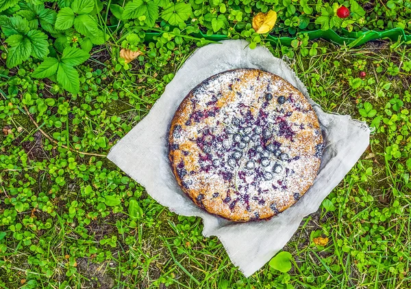 緑の草に黒のスグリの実ケーキ — ストック写真