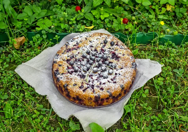 Böğürtlen pasta çimenlerin üzerinde — Stok fotoğraf