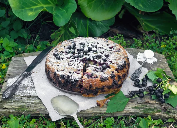 Pastel de mora en la hierba — Foto de Stock