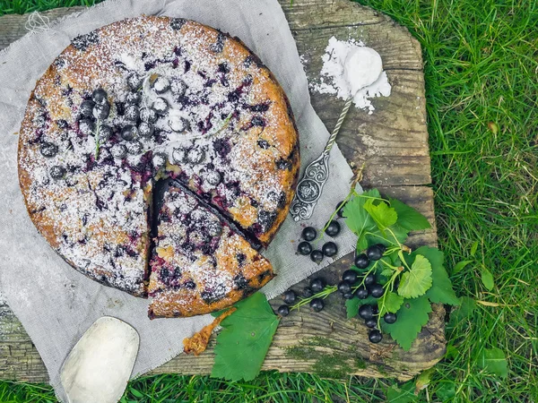 Tarte aux mûres sur l'herbe — Photo