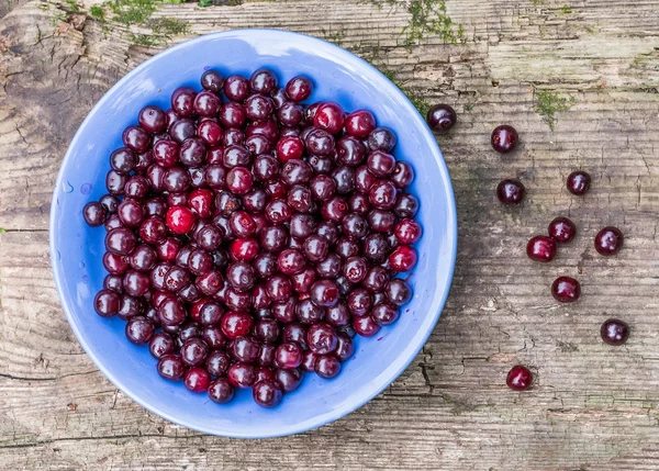 Ripe garden cherries in a blue bawl over a rough old wooden boar — Stock Photo, Image