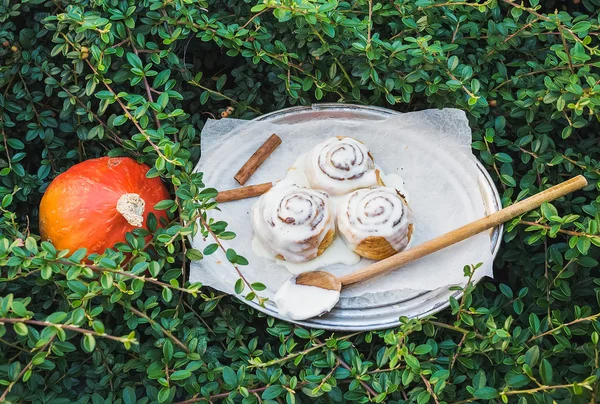 Petits pains à la cannelle et à la citrouille avec glaçage au fromage crémeux et pu rond mûr — Photo