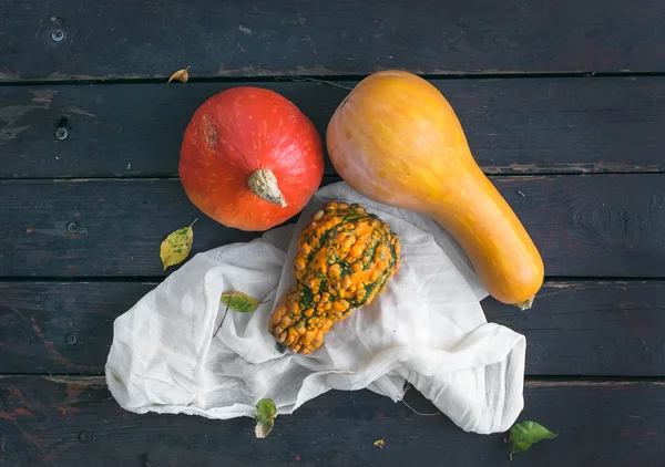 Drie pompoenen od verschillende vormen en kleur met een stuk van whi — Stockfoto