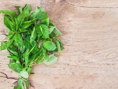 Bir demet taze yeşil fesleğen 