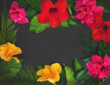 Bir çerçeve çiçek (hibiscuses ve dof gül) ve yeşil yaprakları o