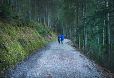 Eibsee Gölü, Garmisch-Partenkirchen, Bavyera Alpleri, Almanya, 10.