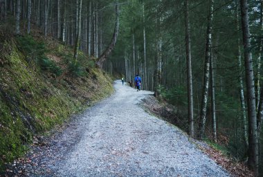 Eibsee Gölü, Garmisch-Partenkirchen, Bavyera Alpleri, Almanya, 10.