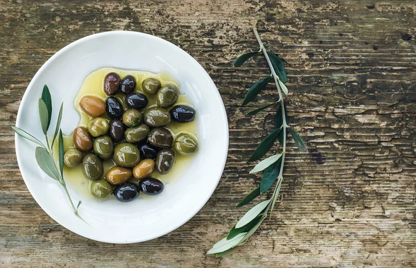 Płyta o śródziemnomorskiej oliwki w oleju z gałęzi drzewa — Zdjęcie stockowe