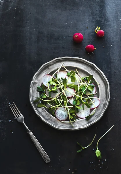 Spring salad with sunflower sprouts and radish in vintage metal plate over rustic dark painted background — Stock Photo, Image