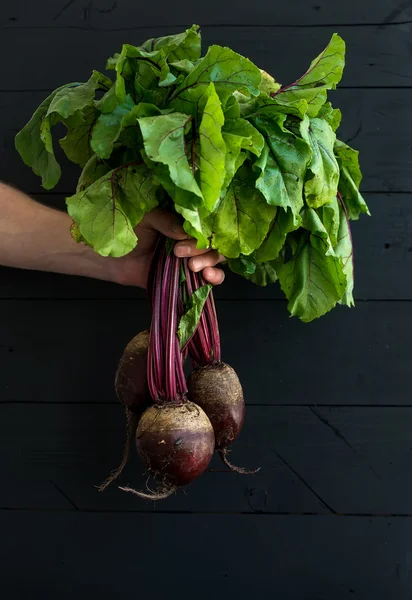 Bund frische Rote Beete im Garten — Stockfoto