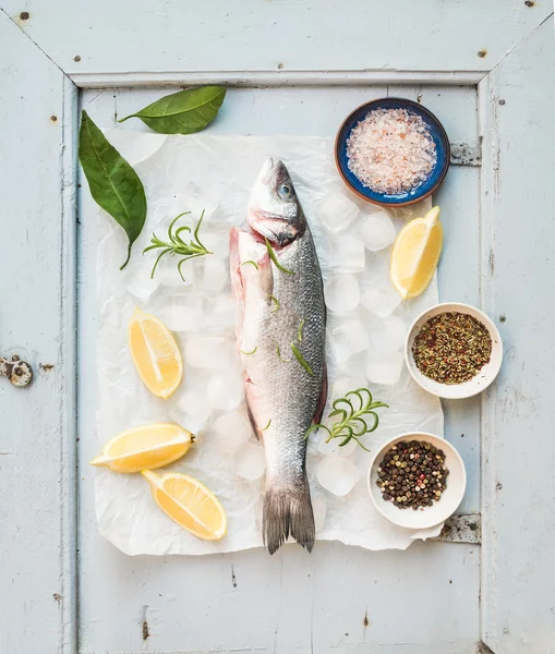 Peixe-marinho fresco não cozido — Fotografia de Stock