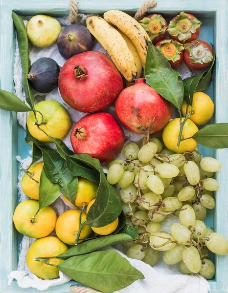 Sélection colorée de fruits tropicaux — Photo