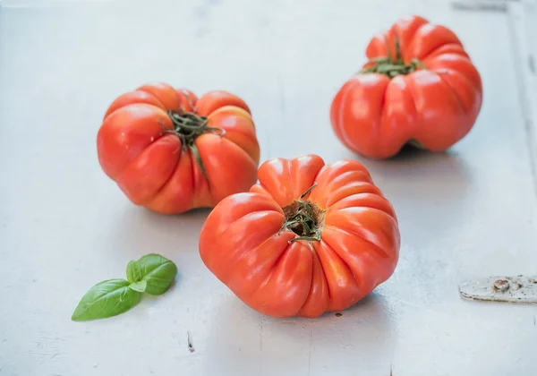 Fresh ripe hairloom tomatoes — Stock Photo, Image