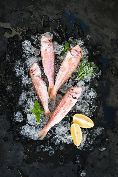 Raw Red Mullet fishes with lemon — Stock fotografie