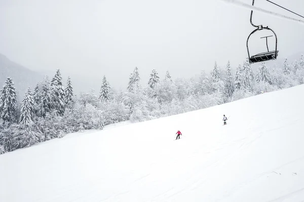 Ski slopes in the coniferous forest — Stock Photo, Image
