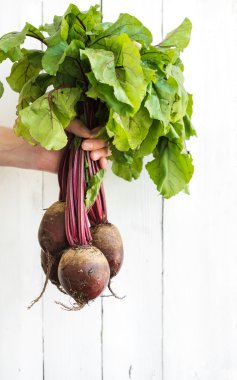 Bunch of garden beetroot
