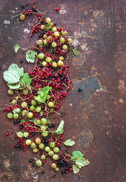 Summer berries on metal background — Stock fotografie