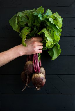 Bunch of garden beetroot