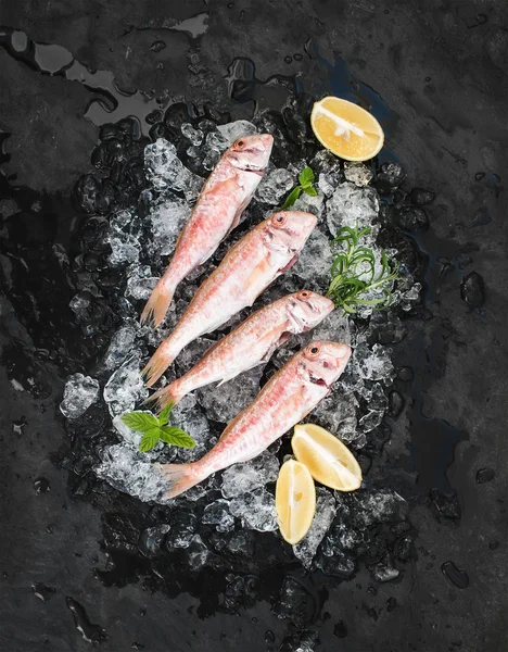 Raw Red Mullet fish — Stock Photo, Image