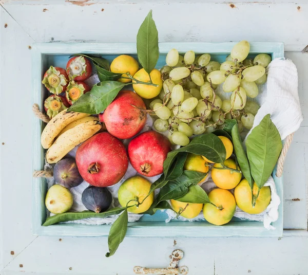 Διάφορα πολύχρωμα τροπικά φρούτα επιλογής — Φωτογραφία Αρχείου