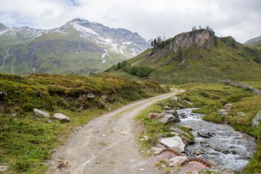 Avusturya, Alp pastoral manzara