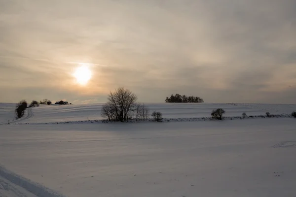 Vackert vinterlandskap i solnedgången med snö Royaltyfria Stockbilder