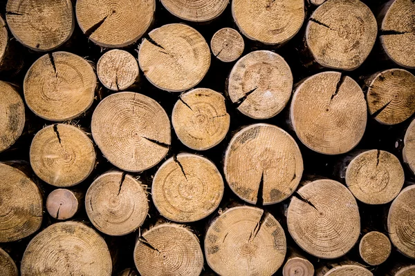 Foto de madeira natural — Fotografia de Stock