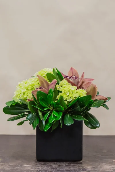 花卉中方的大花蕙兰、 绣球花和绿化带シンビジウム、アジサイ、緑と花のいけばな — 图库照片