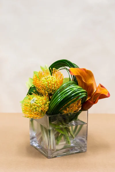 Arregaço floral com lírios Calla, cymbidium, protea e vegetação — Fotografia de Stock