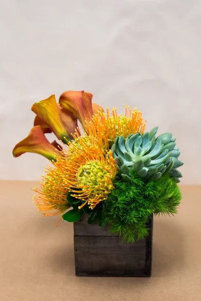 Blomsteropphisselse med Calla Lilies, Dianthus, sukkulent, protea – stockfoto