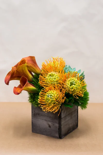 Floral arangement with Calla Lilies, Dianthus, succulent, protea — Stock Photo, Image