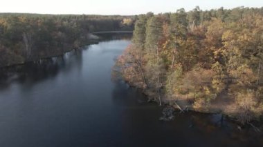 Ulusal parktaki Sonbahar Karışık Ormanı 'nın Hava Görüntüsü