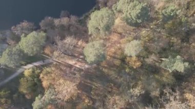 Ulusal parktaki Sonbahar Karışık Ormanı 'nın Hava Görüntüsü