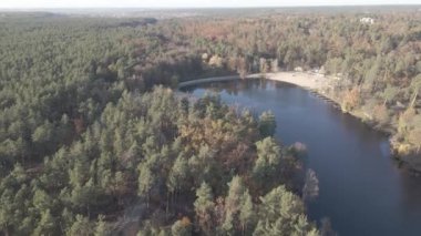 Ulusal parktaki Sonbahar Karışık Ormanı 'nın Hava Görüntüsü