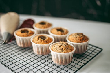 Lezzetli iştah açıcı taze pişmiş çörekler mutfakta. Kapatın.