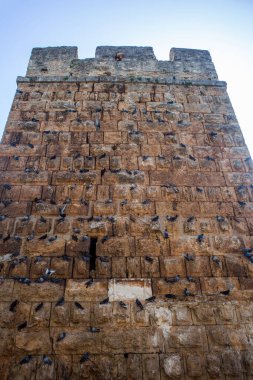 Türkiye 'nin Antalya kentinde Romalı Hadrian' ın Kapı Zaferi
