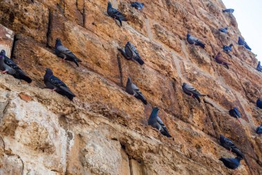 Türkiye 'nin Antalya kentinde Romalı Hadrian' ın Kapı Zaferi
