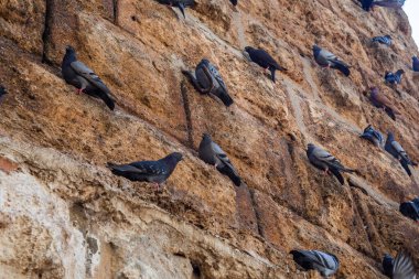 Türkiye 'nin Antalya kentinde Romalı Hadrian' ın Kapı Zaferi