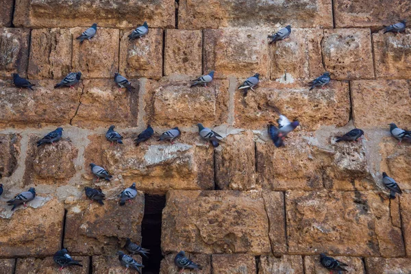 Arcul Triumfal Porții Lui Roman Hadrian Din Antalya Turcia — Fotografie, imagine de stoc