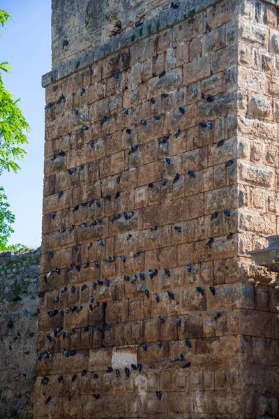 Θριαμβευτική Αψίδα Της Πύλης Του Ρωμαίου Αδριανού Στην Αττάλεια Της — Φωτογραφία Αρχείου