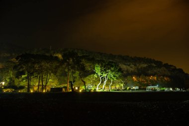 Gece Beldibi 'de kumsal kemer hindisi.