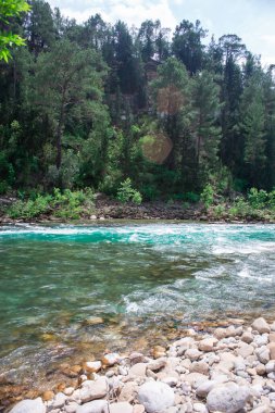 Dağlarda akıntılı hızlı bir nehir.