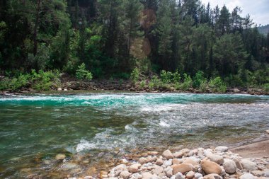 Dağlarda akıntılı hızlı bir nehir.