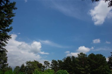 Mavi gökyüzündeki bulutlar ve ağaçların manzarası