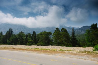 Yazın öğleden sonra yüksek dağlar ve yeşil çam ormanı