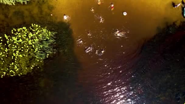 Vista aérea de um drone para um grupo de pessoas nadando na água — Vídeo de Stock