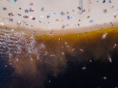 İnsansız hava aracından, yazın kumlu bir plajın yakınındaki bir nehirde yüzen bir grup insana hava görüntüsü.