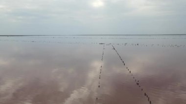 İHA 'dan pembe göl manzarası